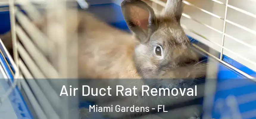 Air Duct Rat Removal Miami Gardens - FL