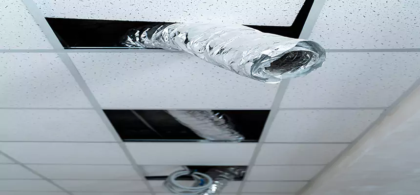 Affordable HVAC Sanitizing After Pest Removal in Miami Gardens