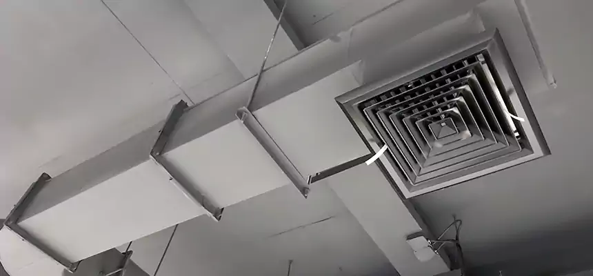 Our Pest Removal From Ducts Services in Miami Gardens, FL