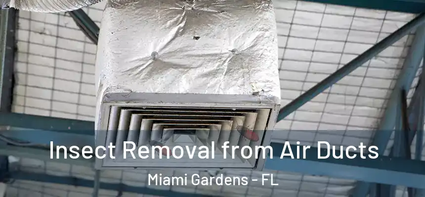 Insect Removal from Air Ducts Miami Gardens - FL
