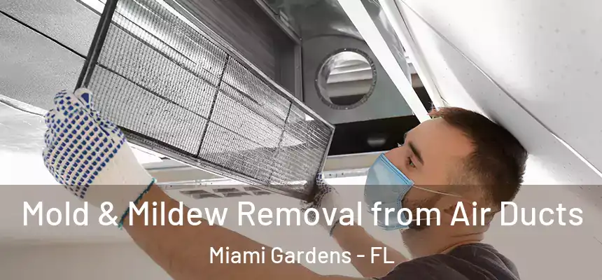 Mold & Mildew Removal from Air Ducts Miami Gardens - FL