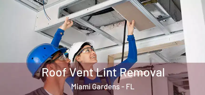  Roof Vent Lint Removal Miami Gardens - FL