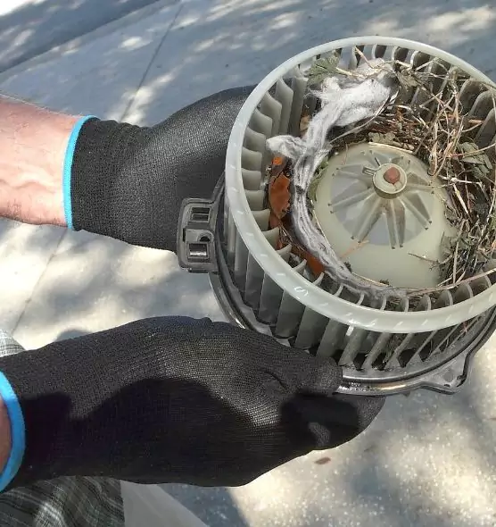 About Air Duct Mice Removal in Miami Gardens, FL